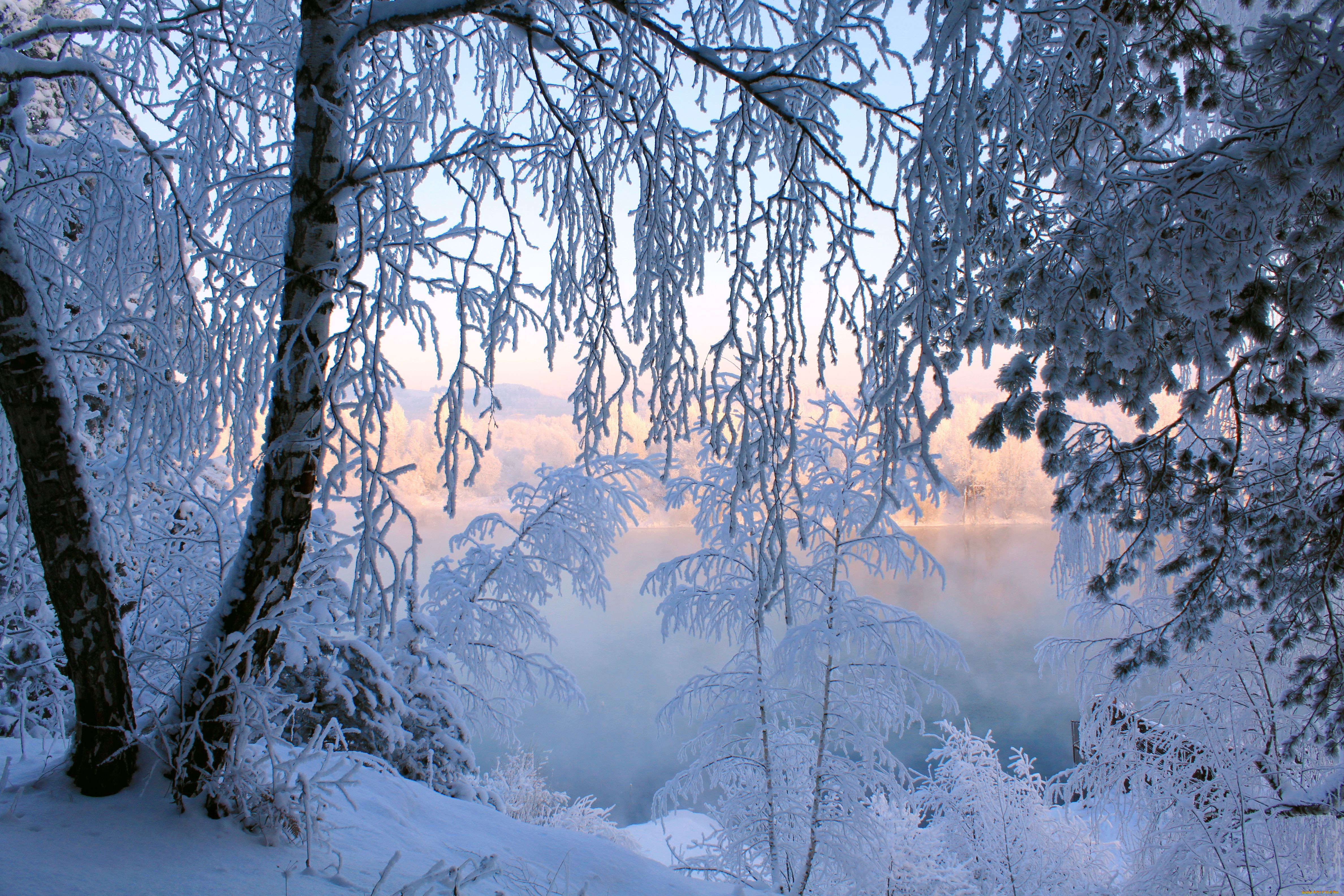 Звуки природы зимой. Зимний пейзаж. Сказочный зимний лес. Зимние обои на рабочий стол. Лес в инее.